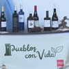 La Comunidad de Madrid finaliza la mejora de seis bodegas en cuatro municipios rurales