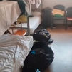 Estas son las penosas condiciones en que viven los policías desplazados a Ceuta