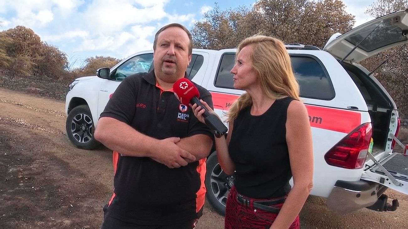 Preocupación entre los apicultores tras el incendio de la Sierra Oeste: "Se han quemado 100 millones de abejas en Madrid"