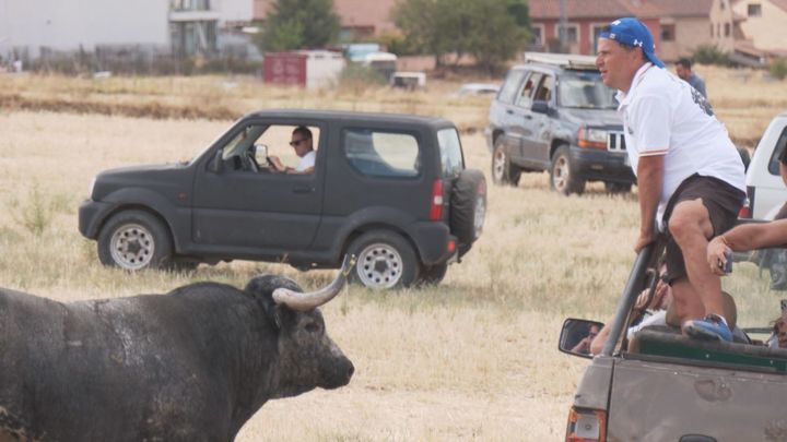 Los encierros por el campo vuelven a Valdeolmos-Alalpardo 30 años después