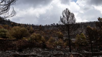 Evolución favorable de los incendios forestales en España
