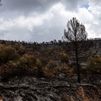 Evolución favorable de los incendios forestales en España