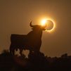 El número del eclipse, el 12.826, se agota en San Lorenzo de El Escorial para la Lotería de Navidad