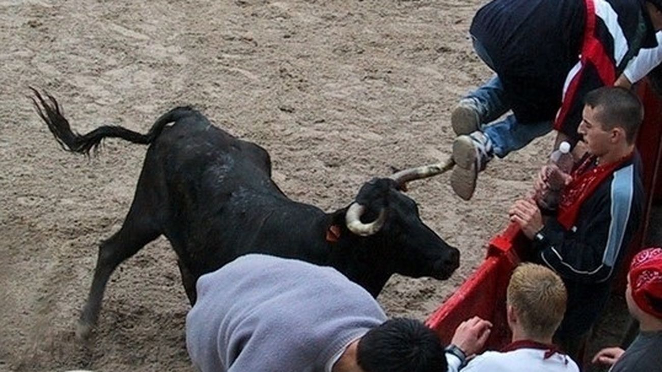Imagen de archivo de una vaquilla en una plaza de toros