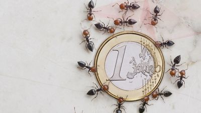 Los llamados 'gastos hormiga' se disparan en verano