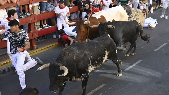 Tercer Encierro en San Sebastián de los Reyes