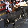 Siete heridos en el tercer encierro de Sanse