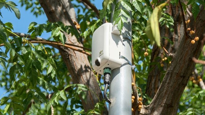 Estudian las aves y murciélagos de Madrid Río y Valdebebas con equipos de IA