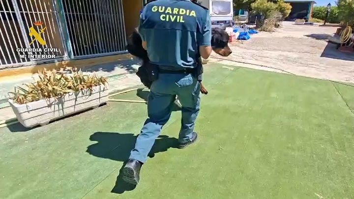 Un agente de la Guardia Civil llevando en brazos a uno de los perros rescatados