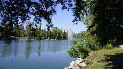 Un nuevo puente para el Parque Natural de El Soto de Móstoles
