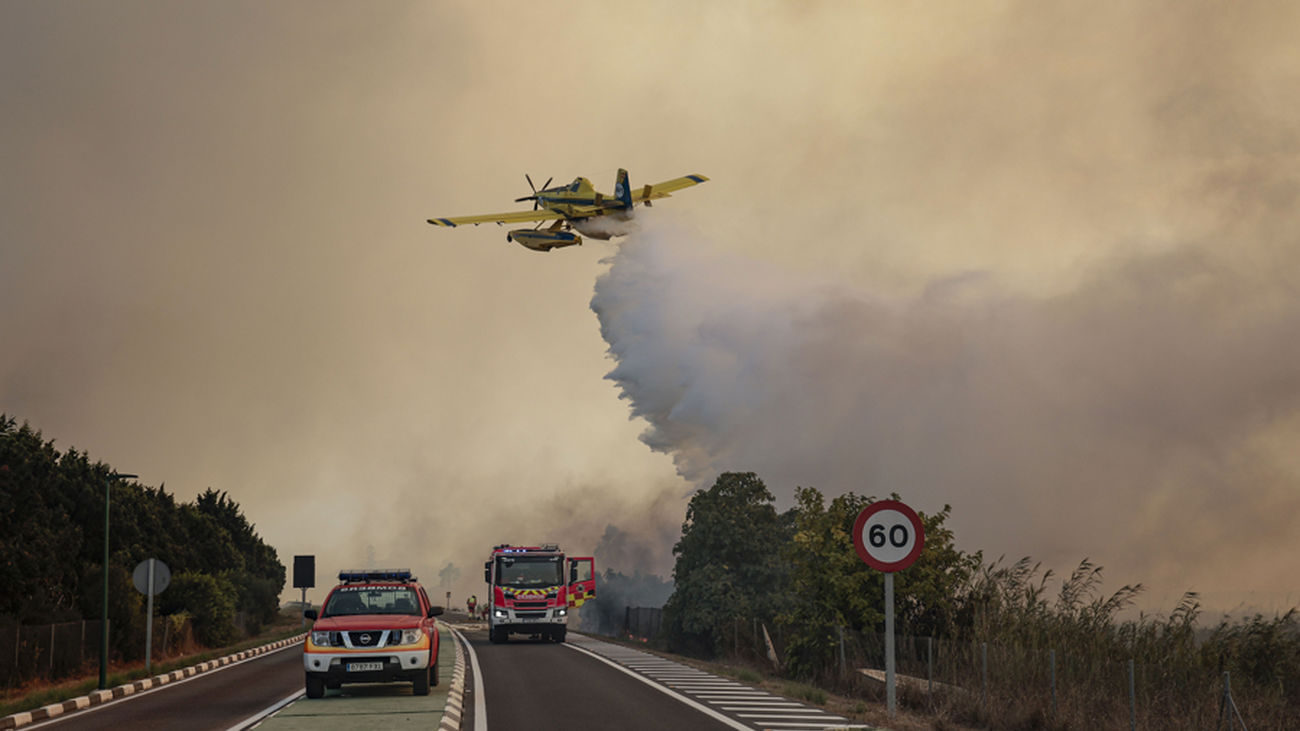 Las evacuaciones por el incendio forestal de El Saler, Valencia, se mantienen y sigue cortada la carretera CV-500