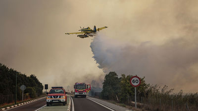 Las evacuaciones por el incendio forestal de El Saler, Valencia, se mantienen y sigue cortada la carretera CV-500