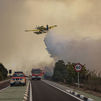 Las evacuaciones por el incendio forestal de El Saler, Valencia, se mantienen y sigue cortada la carretera CV-500