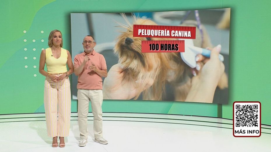 Cursos de formación gratuitos de Madrid Trabaja 29.08.2026