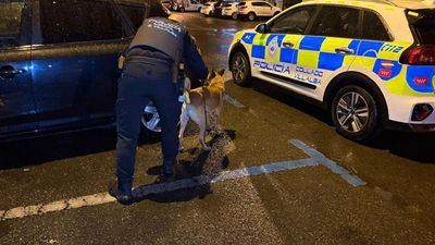 La Policía Local despliega un operativo canino en Collado Villalba tras quejas de vecinos