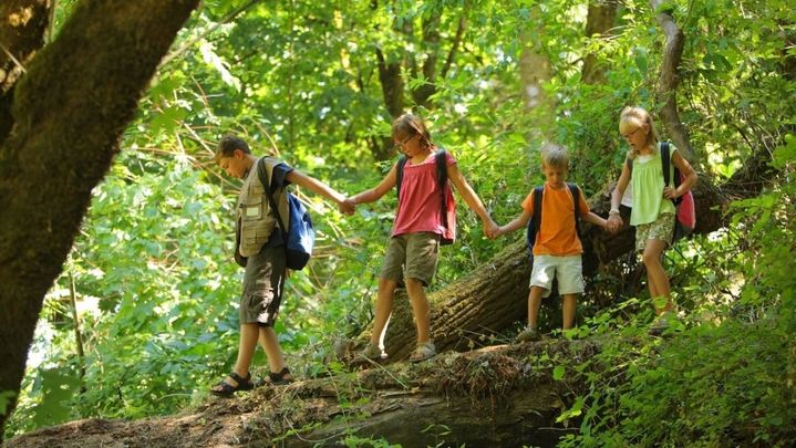 Niños recorriendo una ruta de senderismo