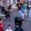 Sexto encierro de las fiestas de San Sebastián de los Reyes