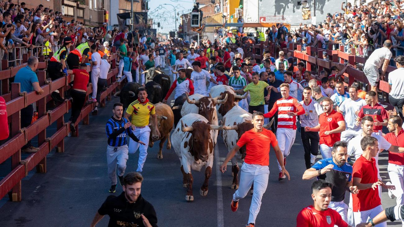 Séptimo encierro de las fiestas de San Sebastián de los Reyes