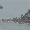Se cumple un mes de la invasión migratoria de Ceuta
