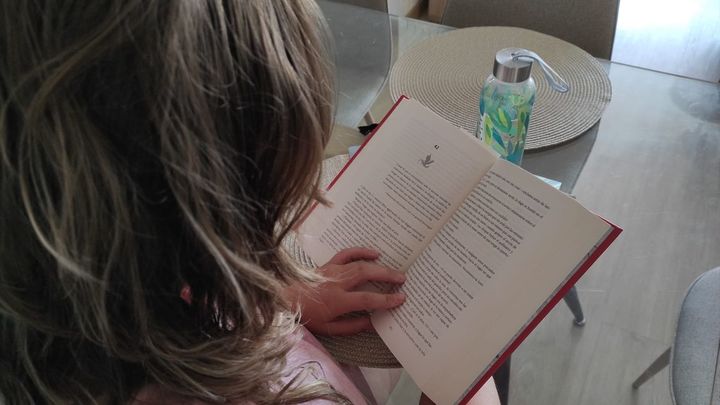Imagen de una persona leyendo un libro