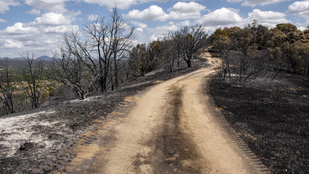 Incendio Sierra Oeste