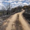 Madrid restringe temporalmente el  acceso a doce montes de la Sierra Oeste mientras retira el  arbolado afectado