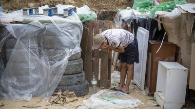 Horror en Ceuta: intentos de violaciones, apuñalamientos y maltrato animal