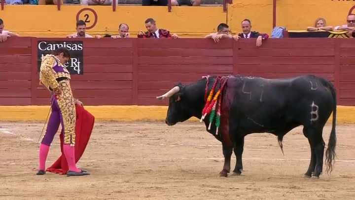 Oreja para Nacho Torrejón en Navacerrada