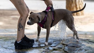 Madrid afronta un domingo de calor con aviso amarillo por altas temperaturas y posibilidad de tormentas