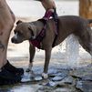 Madrid afronta un domingo de calor con aviso amarillo por altas temperaturas y posibilidad de tormentas