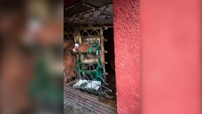 Robo con fuerza en una frutería de Fuenlabrada: los comerciantes alertan de una oleada de 'alcantarillazos' en la zona