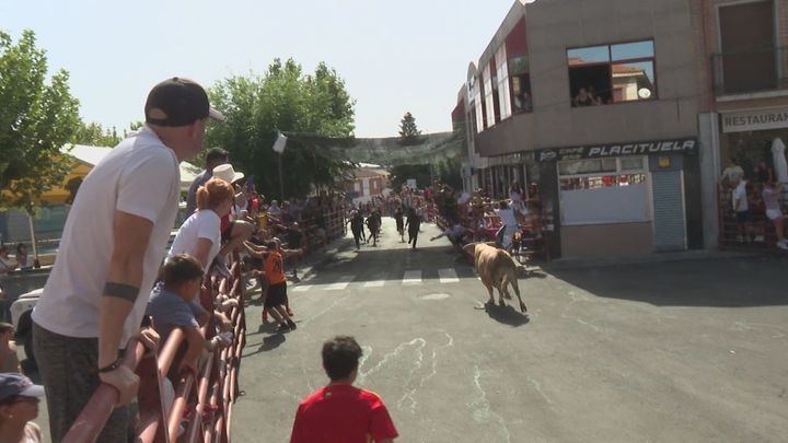 Navas del Rey celebra sus fiestas con encierros tras el azote de los incendios forestales