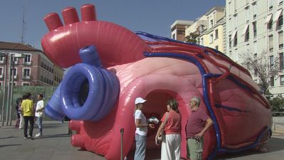 La plaza de Santo Domingo se convierte en un punto de control de la salud cardiovascular