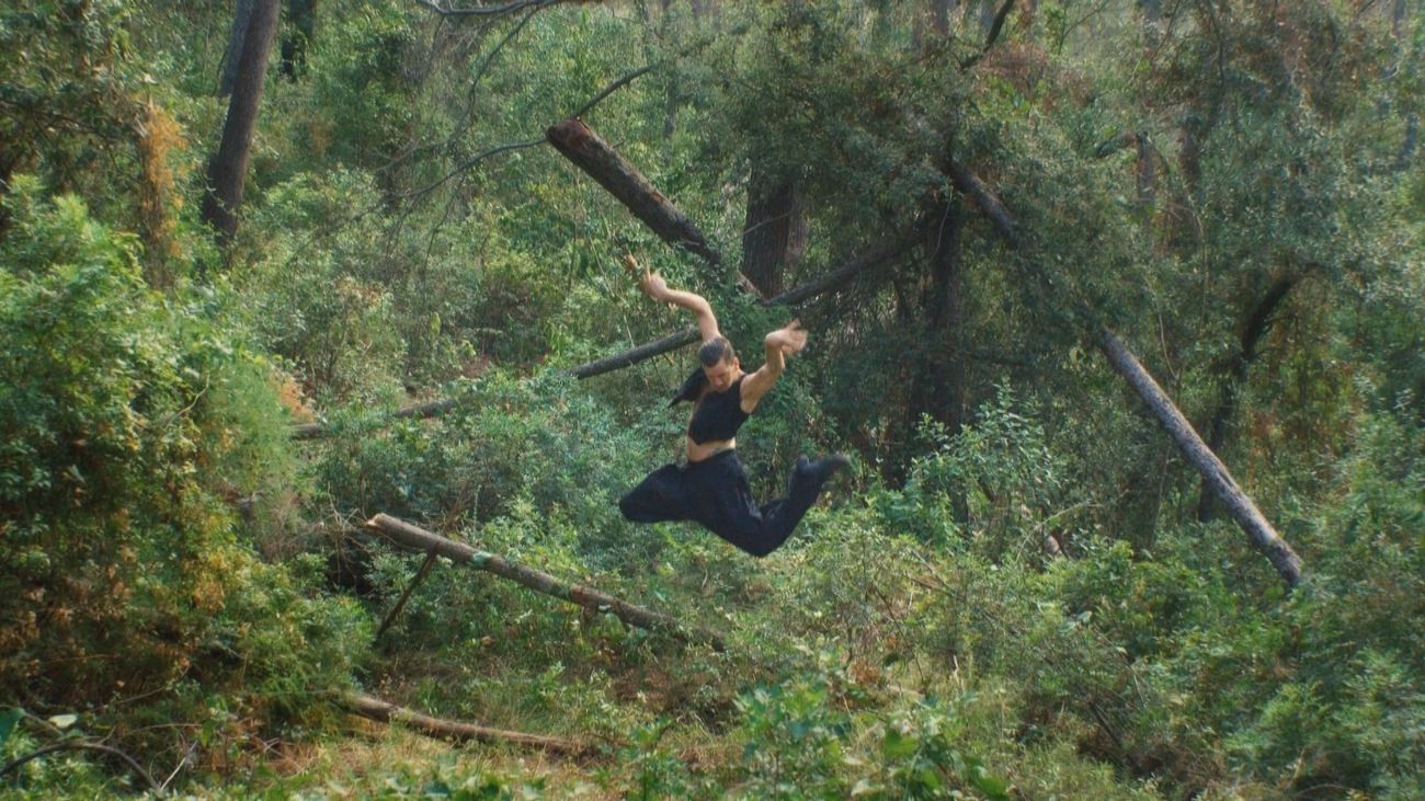 Teatros del Canal estrena "Guacamayo", un tablao flamenco dentro de un bosque amazónico