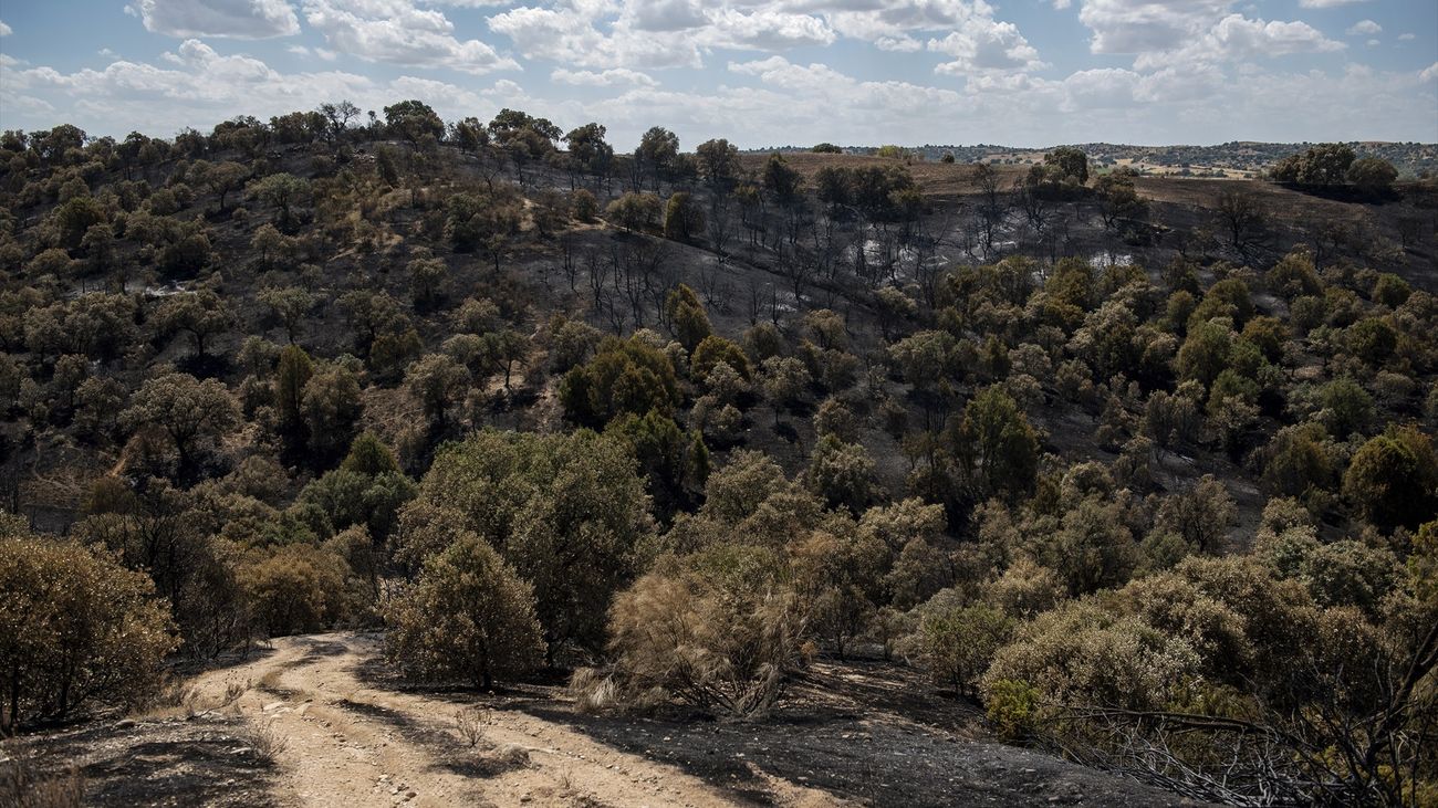 Vista tras el paso del fuego en Aldea del Fresno,