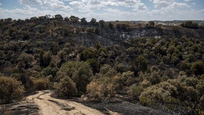Los montes públicos recibirán 2,8 millones para su recuperación tras el incendio de la Sierra Oeste