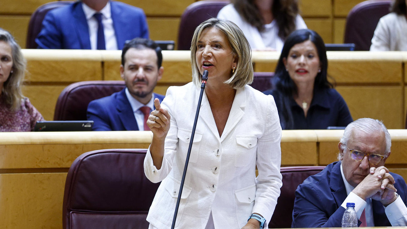 El Senado reprueba al Gobierno por la crisis migratoria en Ceuta y señala a cinco ministros