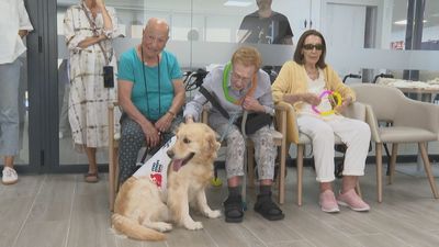 Terapia con perros para combatir la soledad en personas mayores