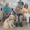 Terapia con perros para combatir la soledad en personas mayores