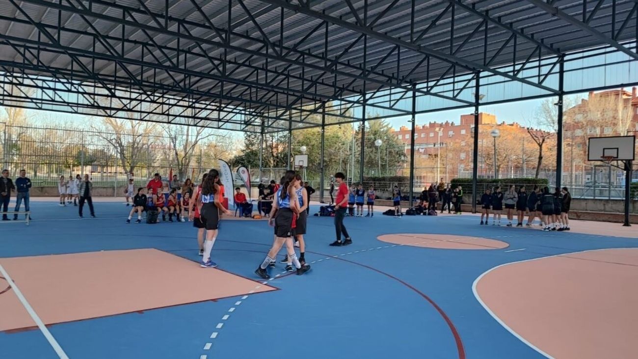 Escuelas deportivas de baloncesto y balonmano
