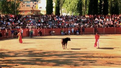 El Toro de las Peñas entra en la plaza de Pozuelo entre la multitud: así se ha vivido el tradicional encierro