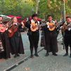 Las tunas salen a las calles de Majadahonda y ponen su música y tradición a las fiestas