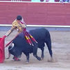 Revive la faena de Morante con su primer toro en Albacete