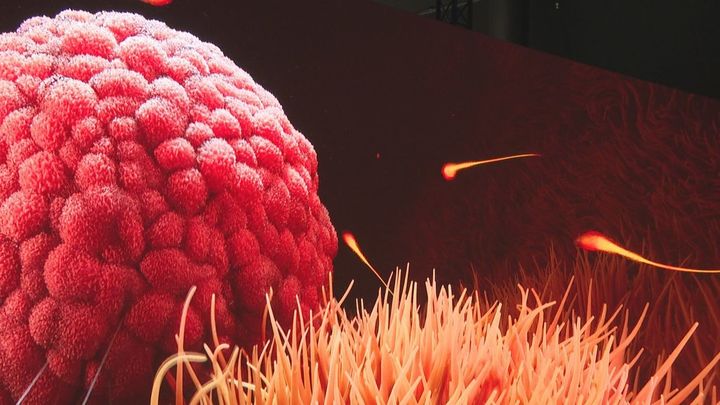 El Espacio Delicias te invita a descubrir el interior del cuerpo humano