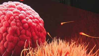 El Espacio Delicias te invita a descubrir el interior del cuerpo humano