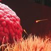 El Espacio Delicias te invita a descubrir el interior del cuerpo humano