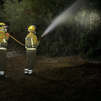 Incendio de un vehículo en Pedrezuela: las llamas alcanzan el pasto y las arizónicas de una vivienda