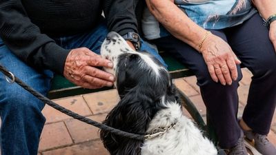 Galapagar da la bienvenida a su primera patrulla canina, Neo y Shazam