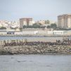 La Guardia Civil alertó de un aumento de hasta el 900% de los intentos de entrada en Ceuta y Melilla