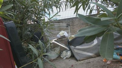 Los vecinos de Carabanchel denuncian el deterioro del Parque Emperatriz María de Austria: "Hay cucarachas"